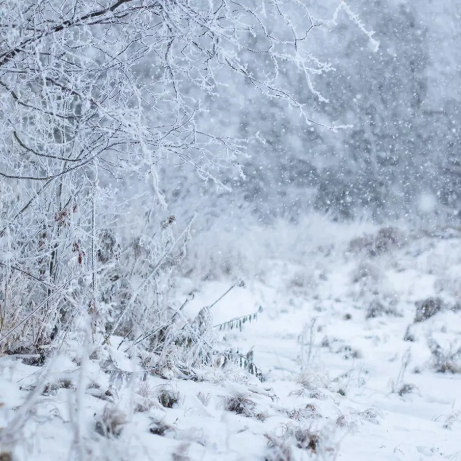 Сильный снег по Нижегородской области ожидается 16 февраля с сохранением ночью и утром 17 февраля!